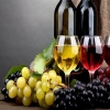 Россия лидирует по закупкам вина из Грузии за 10 месяцев
