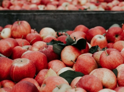 Россельхознадзор разрешает поставки яблок с 5 азербайджанских предприятий