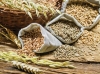 Таможенная подкомиссия одобрила корректировку формулы экспортных пошлин на зерно