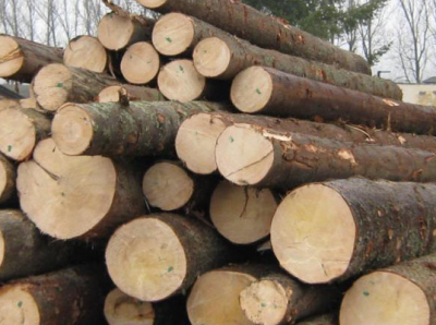 В 1 квартале 2019 года в регионе деятельности Бурятской таможни увеличился объём вывозимого леса