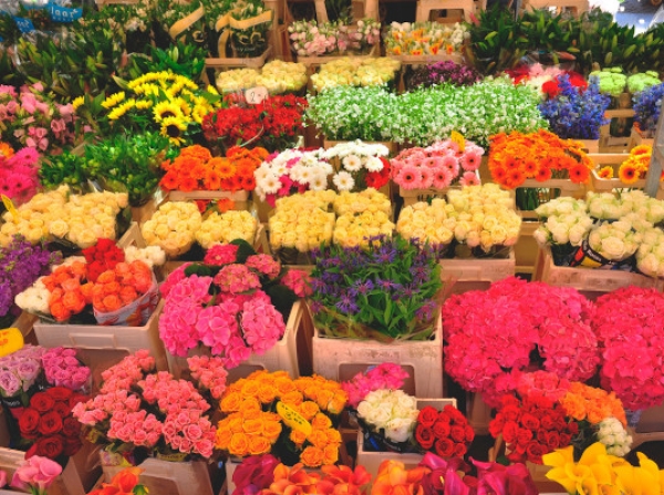 ФТС России: около 120 млн цветов оформили таможенные органы с 15 февраля по 3 марта 2021 года