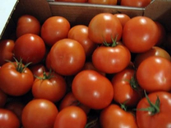 Россельхознадзор частично снимает ограничения на ввоз томатов из Азербайджанской Республики